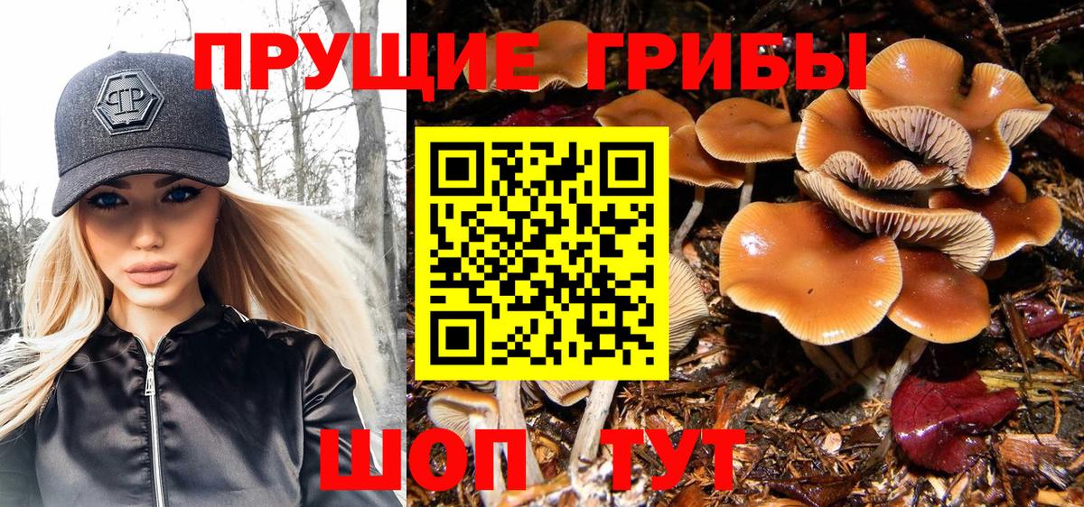 Копейск  Псилоцибиновые грибы мухоморы  Галлюциногенные грибы мицелий  Вход с VPN 